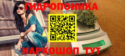 тгк Севастополь