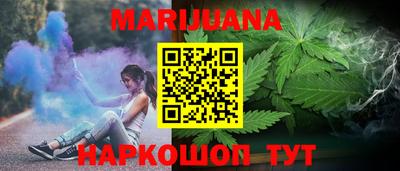сатива Славгород