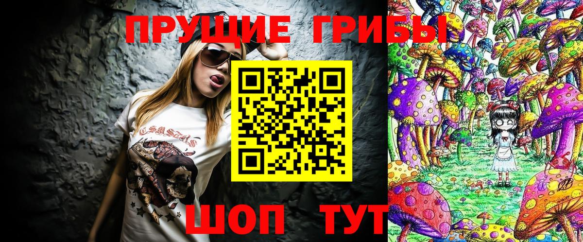Галлюциногенные грибы Psilocybe Чистополь