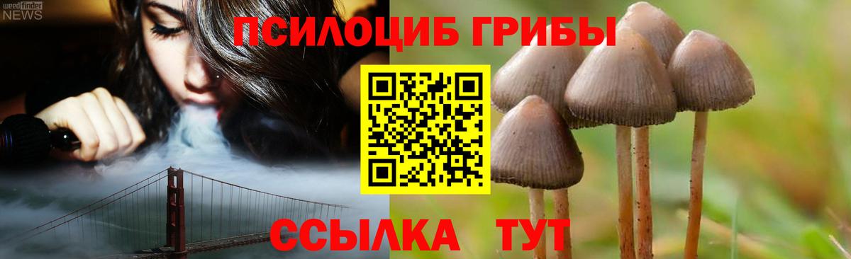 Чистополь  Псилоцибиновые грибы GOLDEN TEACHER  сколько стоит  Вход с VPN 